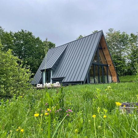 Cabana A-Frame Cricov 9 Hotel Valea Lunga-Ogrea Exterior photo