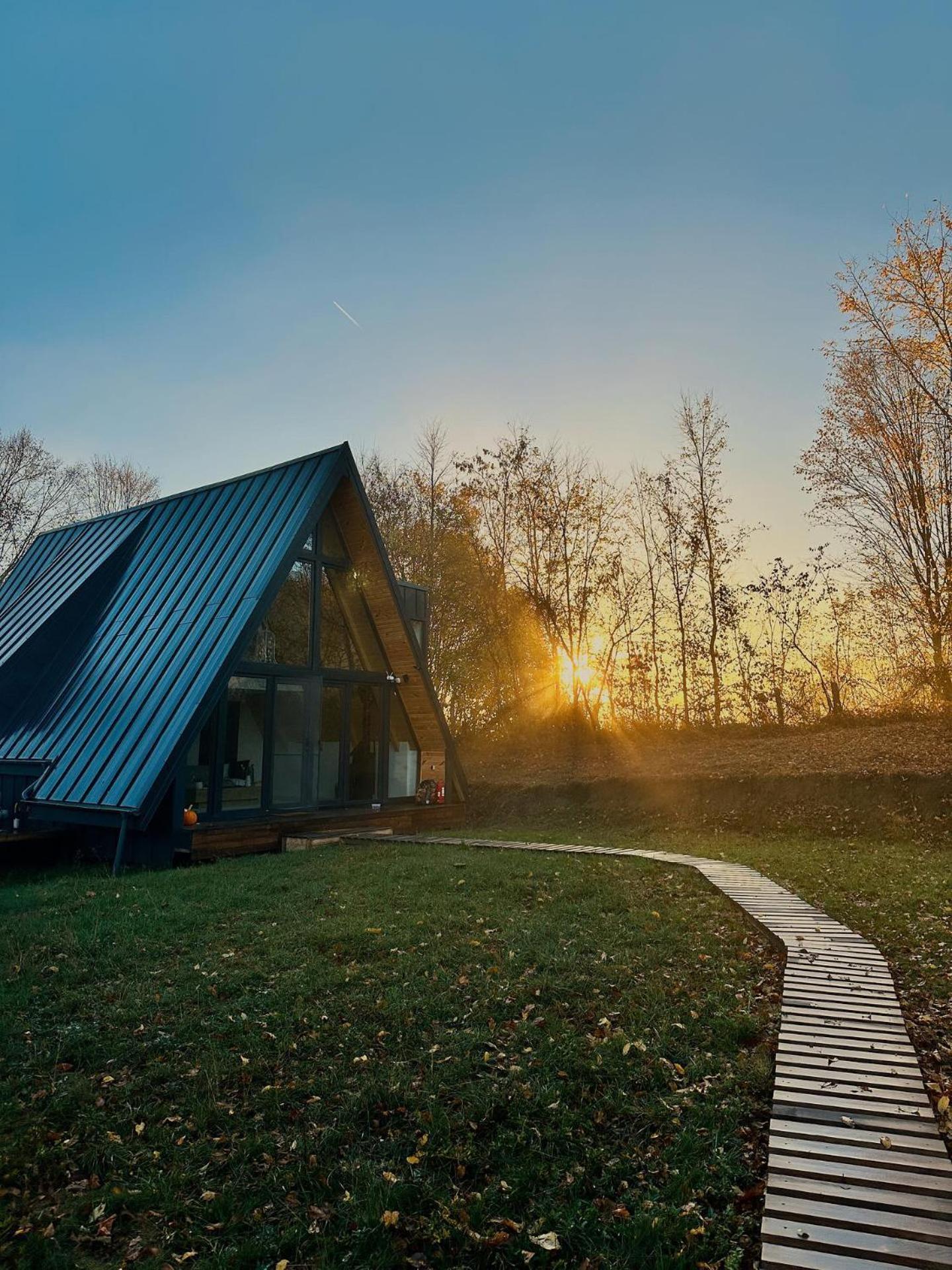 Cabana A-Frame Cricov 9 Hotel Valea Lunga-Ogrea Exterior photo